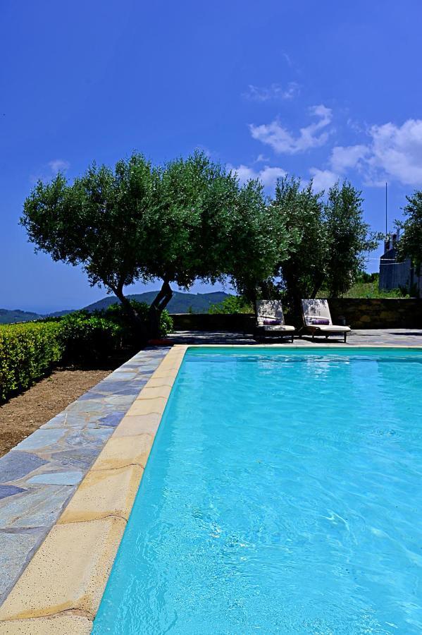 Erato Villa Skopelos Zewnętrze zdjęcie